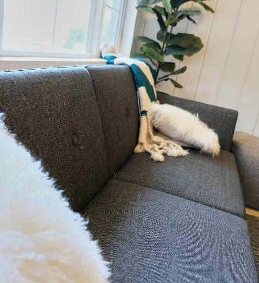 سوئیت 2 خوابه, Lake Front Cabins