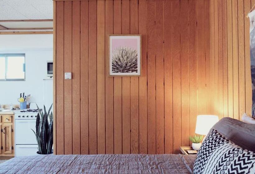 استودیوی استاندارد, Lake Front Cabins