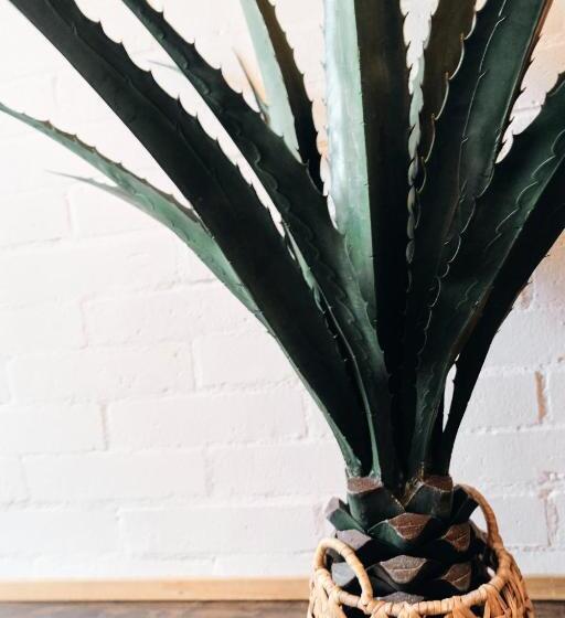 سوئیت 2 خوابه, Lake Front Cabins