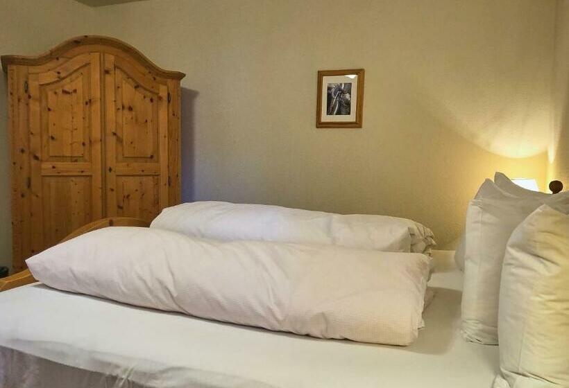 스탠다드 룸 킹사이즈 침대, Pension Anna