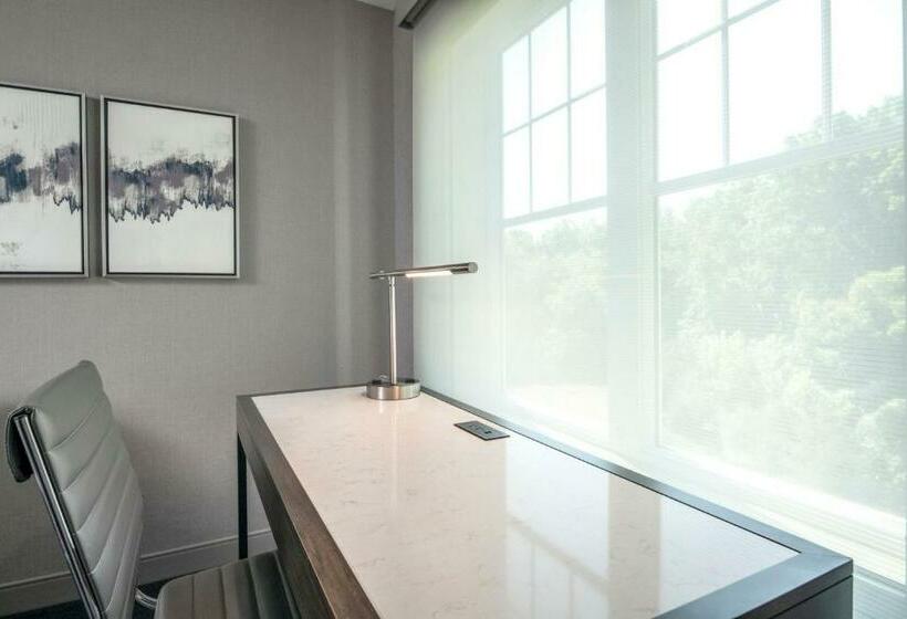 带大床的套房, Residence Inn By Marriott Orangeburg