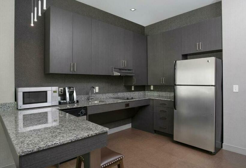 带大床的套房, Residence Inn By Marriott Orangeburg