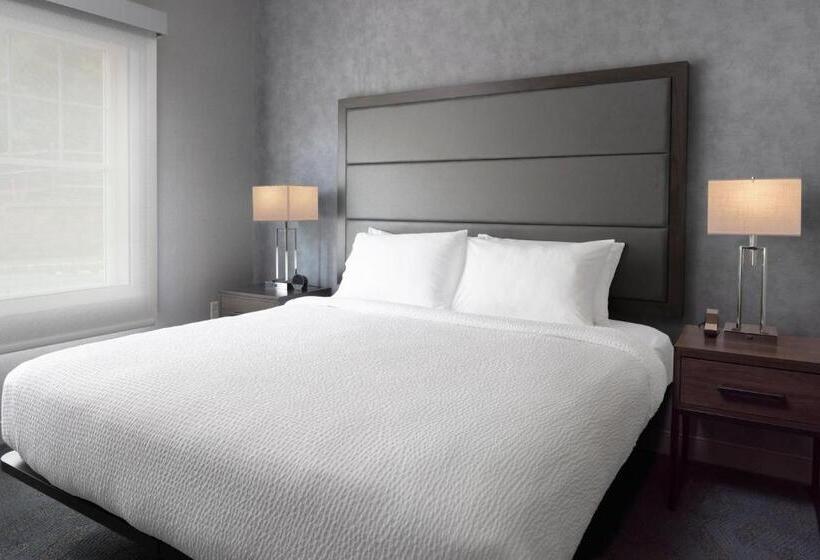 带大床的套房, Residence Inn By Marriott Orangeburg