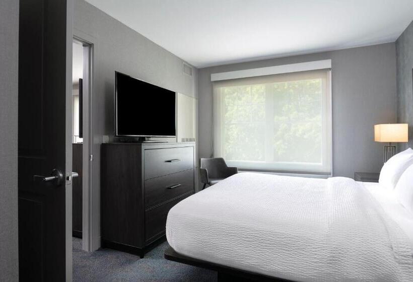 带大床的套房, Residence Inn By Marriott Orangeburg