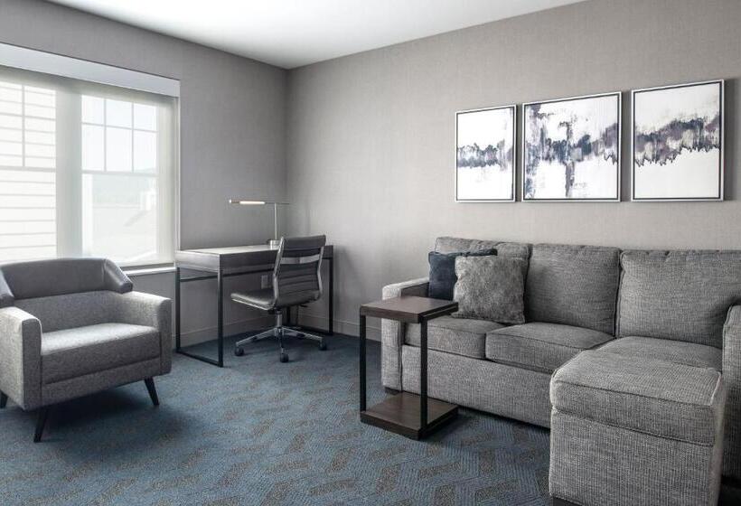Люкс, Residence Inn By Marriott Orangeburg
