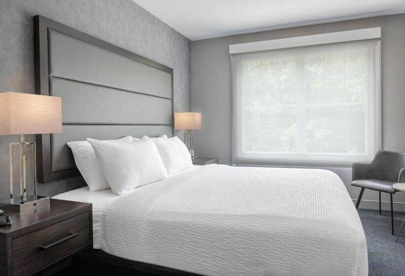 Студио Стандарт Кровать Кинг, Residence Inn By Marriott Orangeburg