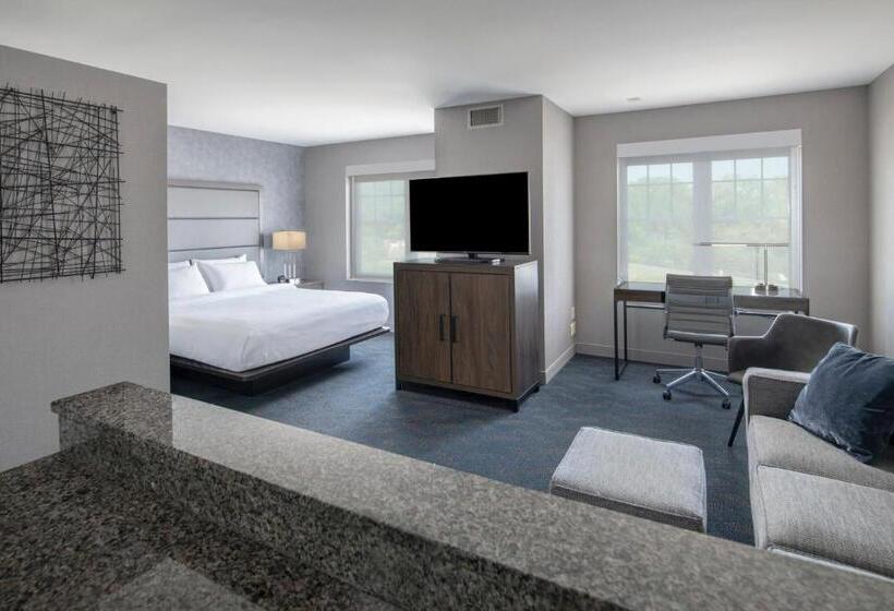 带大床的标准工作室, Residence Inn By Marriott Orangeburg