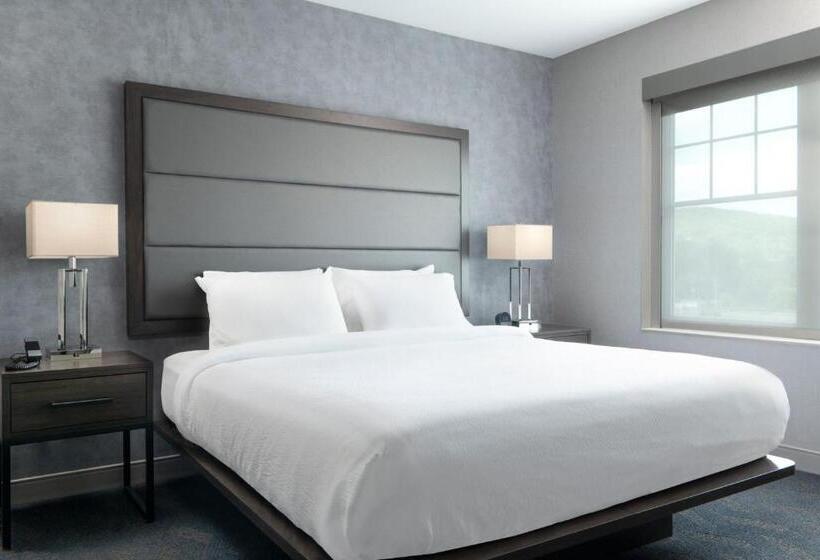 带大床的标准工作室, Residence Inn By Marriott Orangeburg