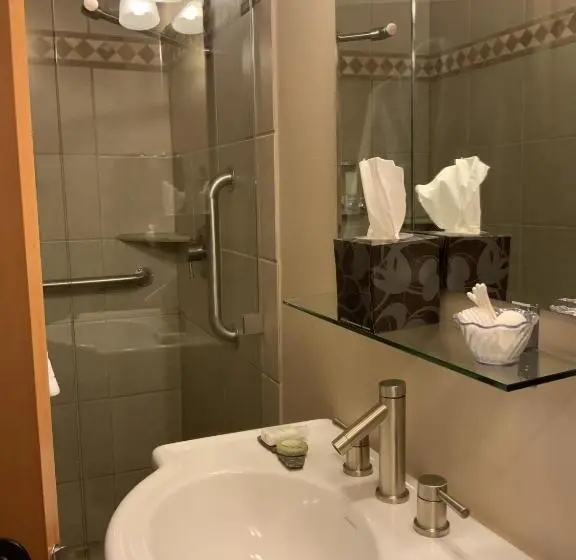 スタンダードシングルルーム, Twisp River Suites