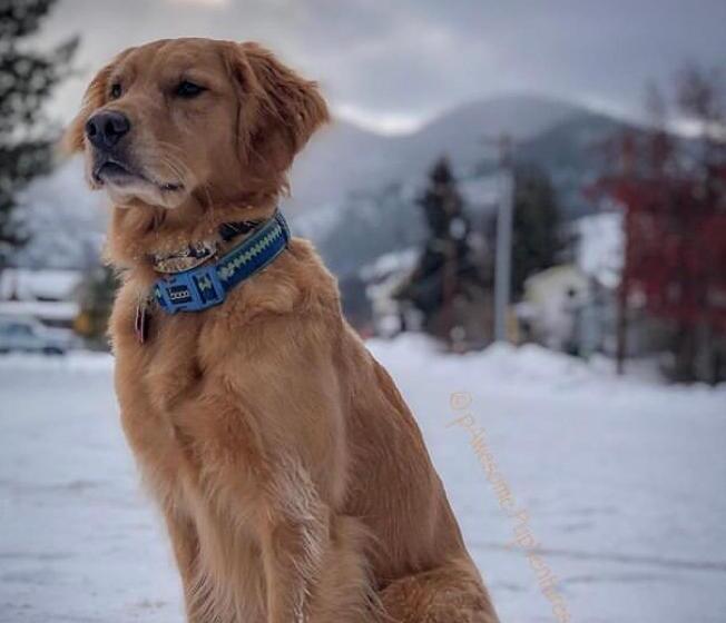 标准间, Twisp River Suites