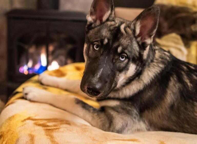 标准间, Twisp River Suites