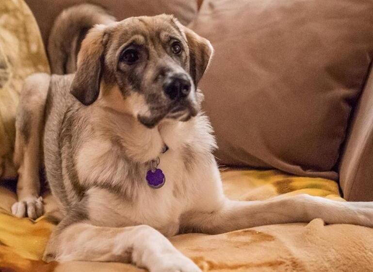 标准间, Twisp River Suites