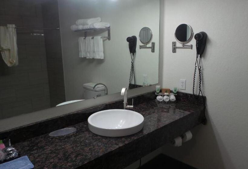 Номер Deluxe, Budget Inn Palmyra