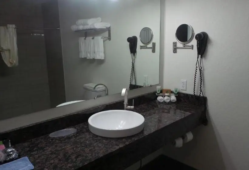 デラックスルーム, Budget Inn Palmyra