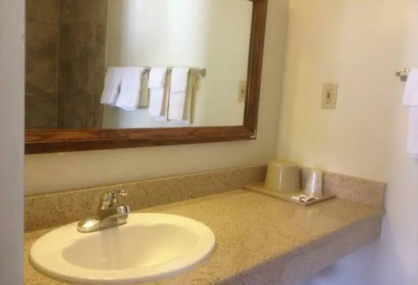 スタンダードルーム, Economy Inn Alamogordo