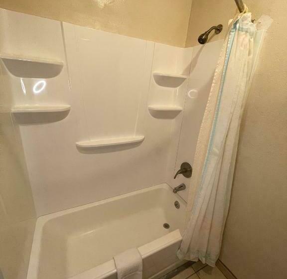 غرفة قياسية, Flamingo Inn