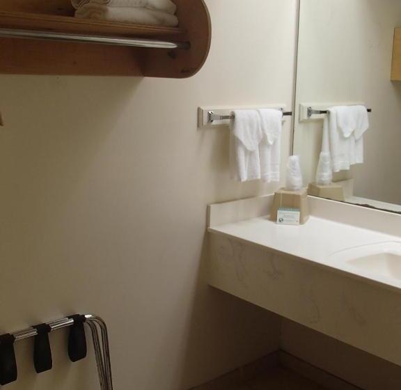 غرفة قياسية سرير كينج, Flamingo Inn