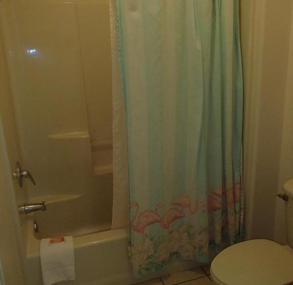 Habitació Estàndard Llit King, Flamingo Inn