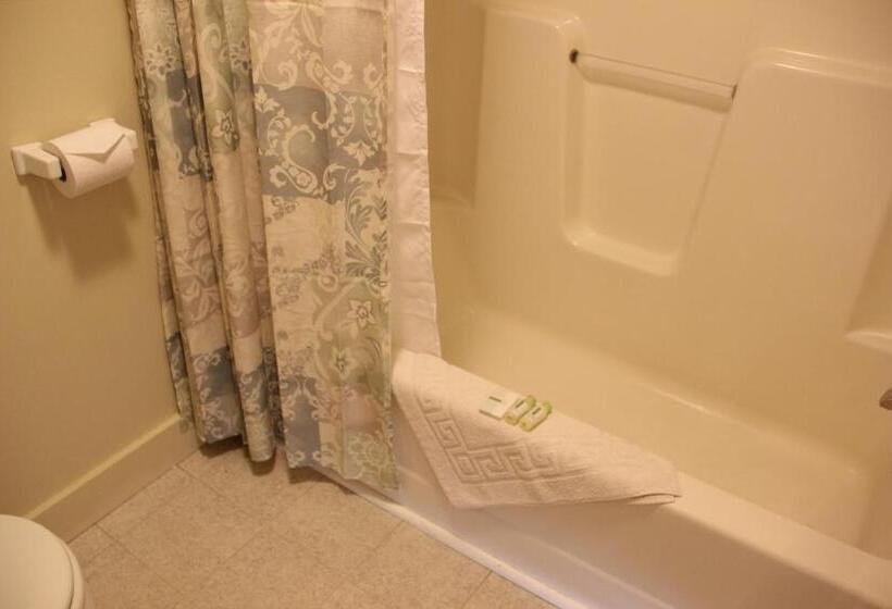 带大床的标准间, Schooner Bay Motor Inn