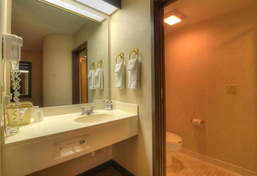 غرفة قياسية سرير كينج, Smoky Mountain Inn & Suites