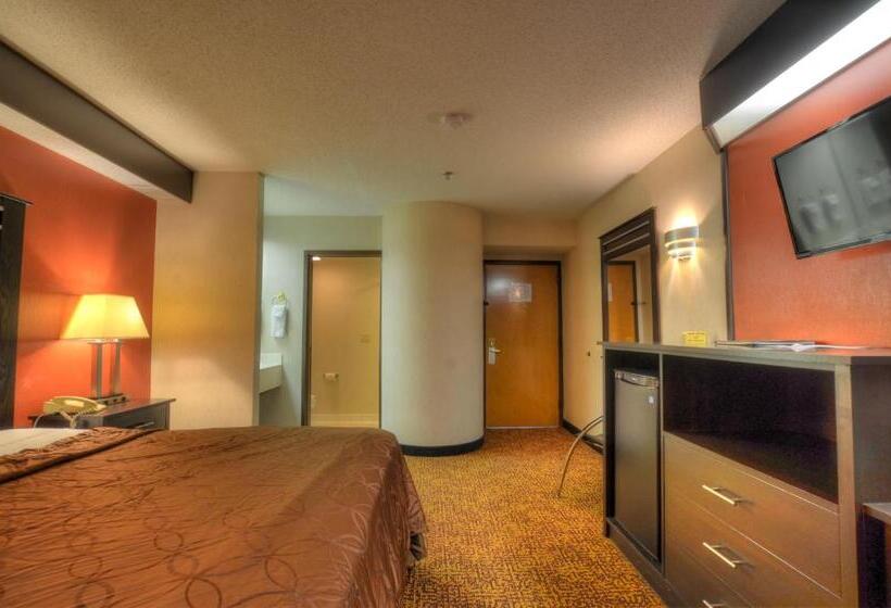 غرفة قياسية سرير كينج, Smoky Mountain Inn & Suites