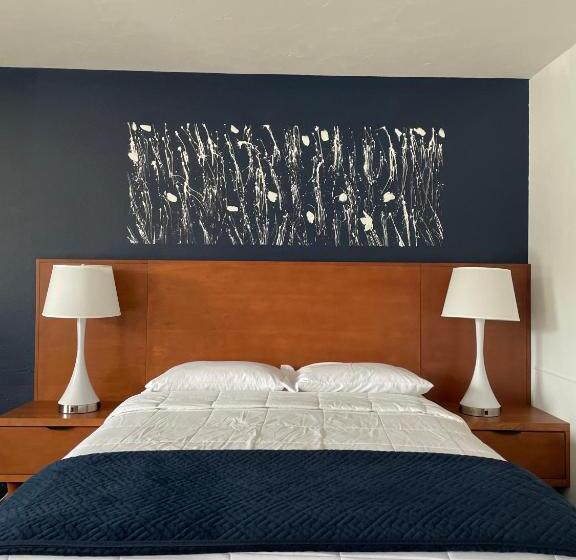 豪华房间, Starlite Resort