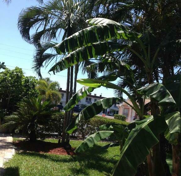 غرفه قياسيه سريرين مزدوجين, Carlton House Motel And Suites