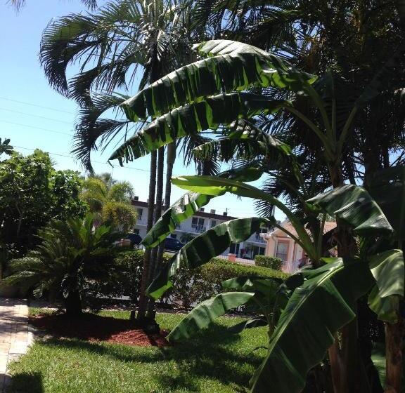 إستوديو قياسى سرير كينج, Carlton House Motel And Suites