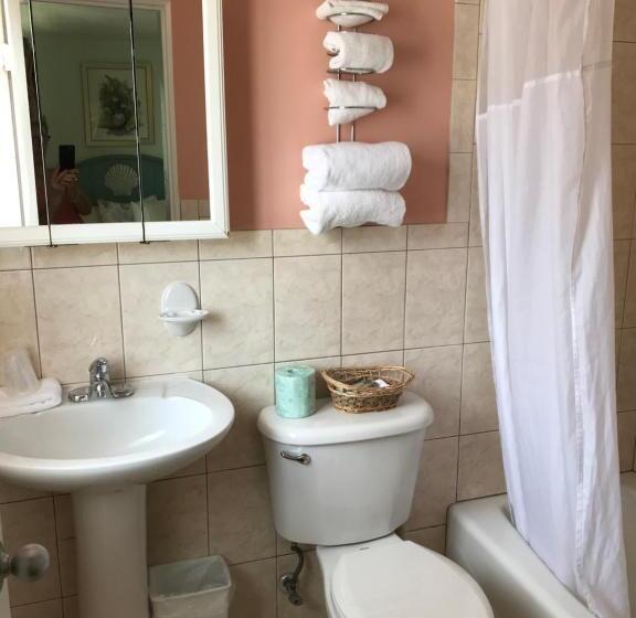 Люкс Повышенной Комфортности, Carlton House Motel And Suites