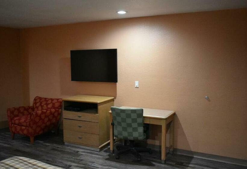 스탠다드 룸 킹사이즈 침대, Apex Inn