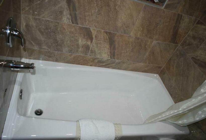 스탠다드 룸 킹사이즈 침대, Apex Inn