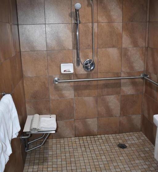 Quarto Estandar para Deficientes Físicos, Apex Inn