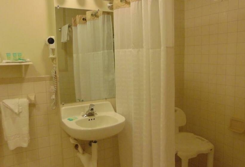 غرفه قياسيه سريرين مزدوجين, Oceanside Lodge