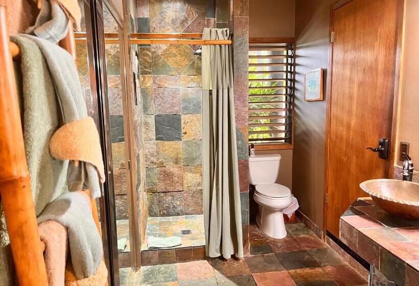 Люкс, Maui What A Wonderful World Bed & Breakfast