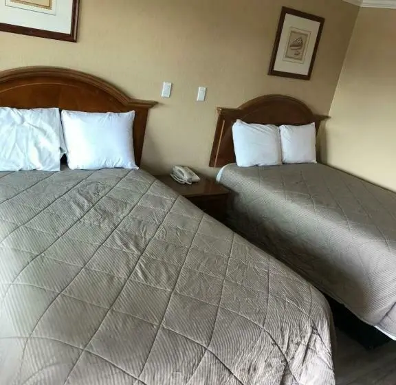 Standard-huone, Arlington Inn