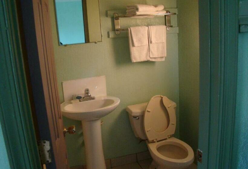 스탠다드 룸 킹사이즈 침대, Budget Inn Mount Airy
