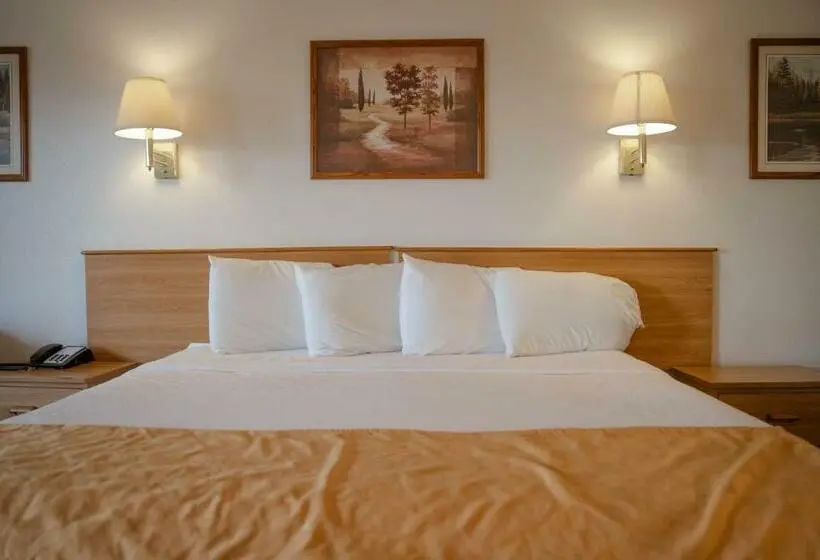 Standard-huone King-vuode, Haysville Express Inn