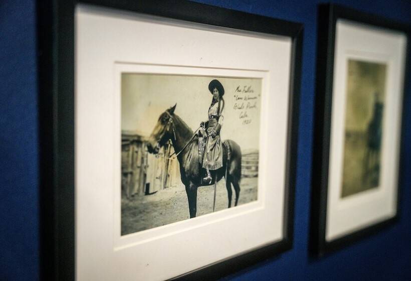 디럭스 룸, The Hotel Melrose