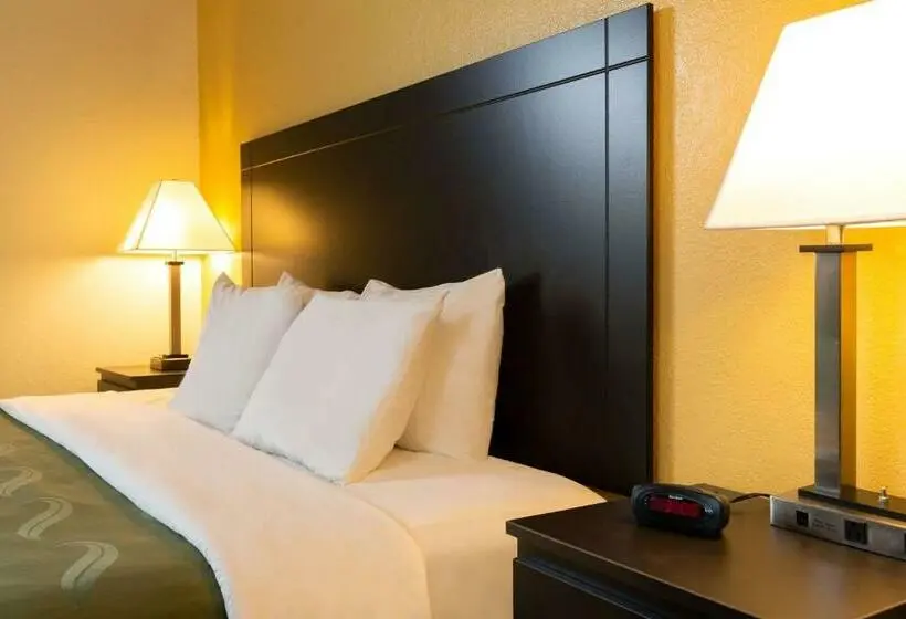 Standard-huone King-vuode, Quality Inn At Arlington Highlands