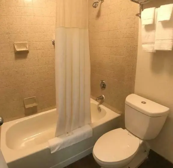 Standard-huone King-vuode, Quality Inn At Arlington Highlands