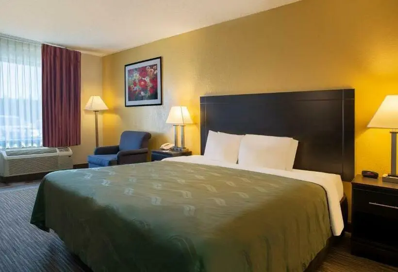 Standard-huone King-vuode, Quality Inn At Arlington Highlands
