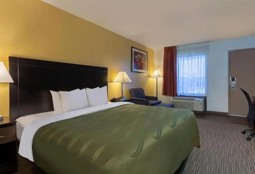 Standard-huone King-vuode, Quality Inn At Arlington Highlands