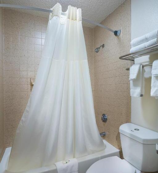 غرفه قياسيه سريرين مزدوجين, Quality Inn At Arlington Highlands