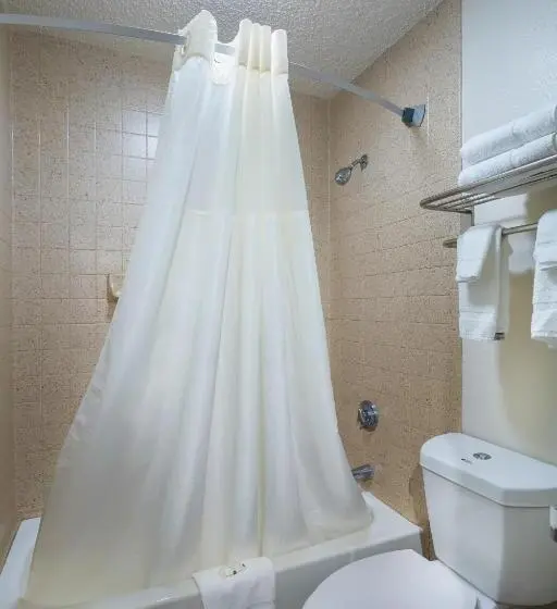 Standard-huone 2 Parivuodetta, Quality Inn At Arlington Highlands