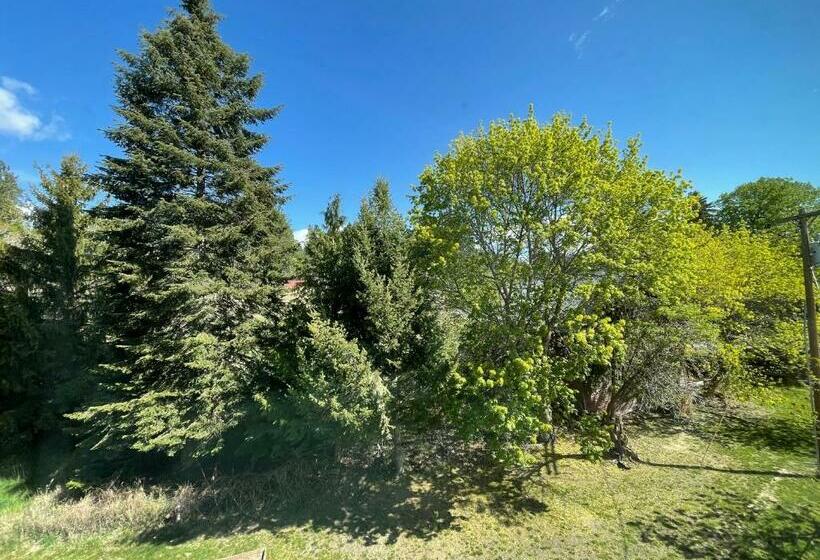 Стандартный Номер Кровать Кинг, Northside School Bed & Breakfast