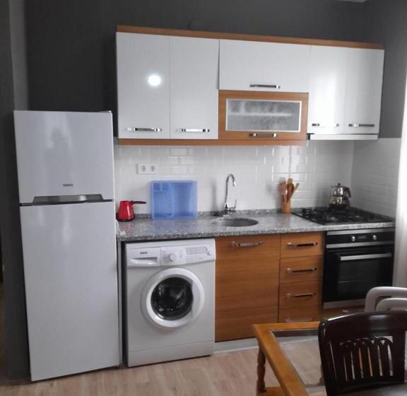 Appartamento 1 Camera da Letto, Efendi Apart