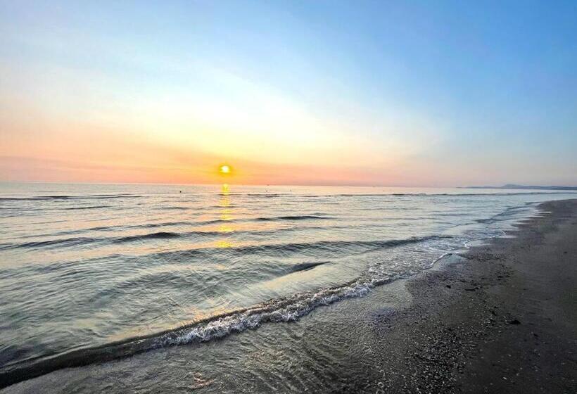 家庭间, Turistica