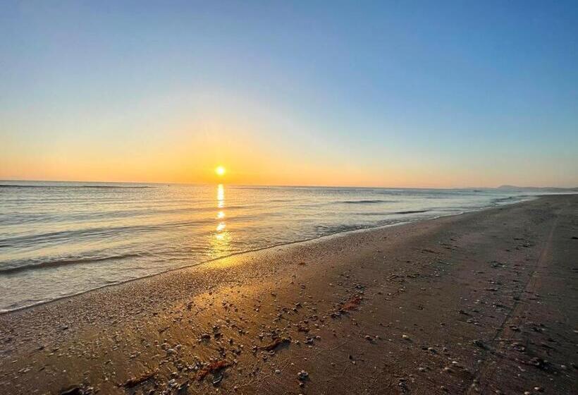 经济房, Turistica