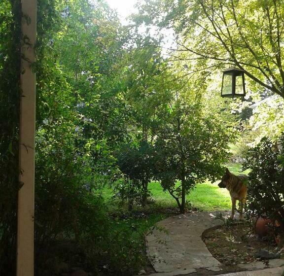 Номер Стандарт, Casco El Trapiche