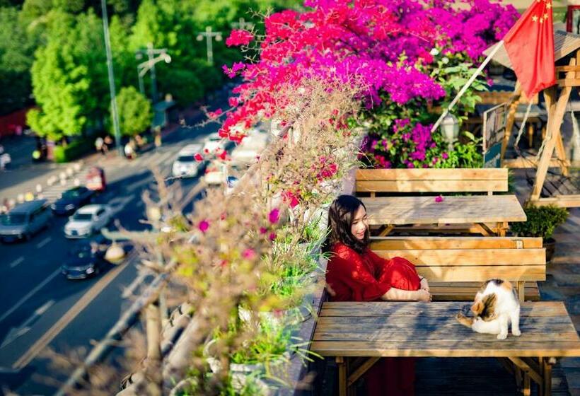 Номер Deluxe, Chengdu Dreams Travel International Youth Hostel